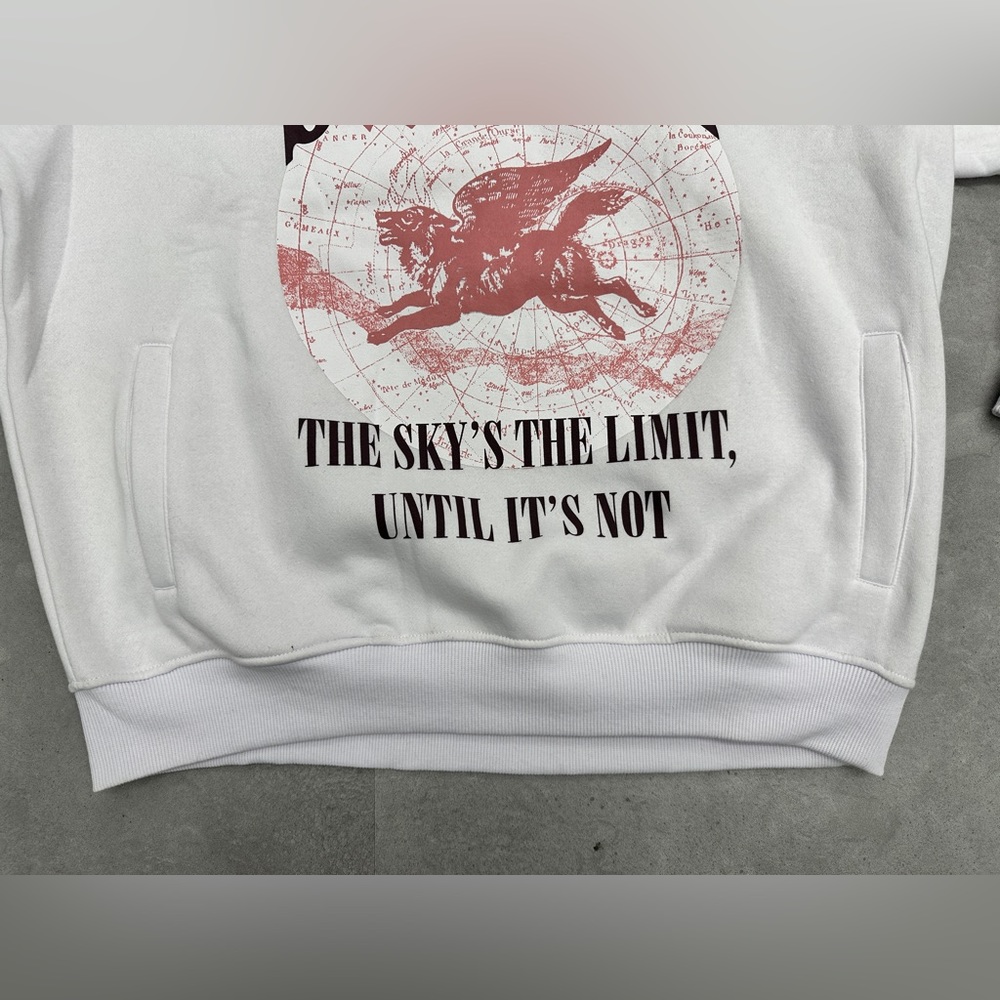 Staple World The Sky's the Limit until it's not hooded sweatshirt - Picture 3 of 6